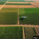 농업기술 자격증 관련 전공 추천 - A highly detailed scene of a modern precision agriculture farm in the Middle East, showing a farmer ...