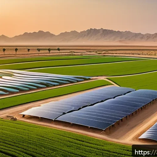 농업기술 관련 대학교 전공 소개 - A futuristic smart farm scene in an Arabian desert setting at sunset, featuring advanced AI-powered ...